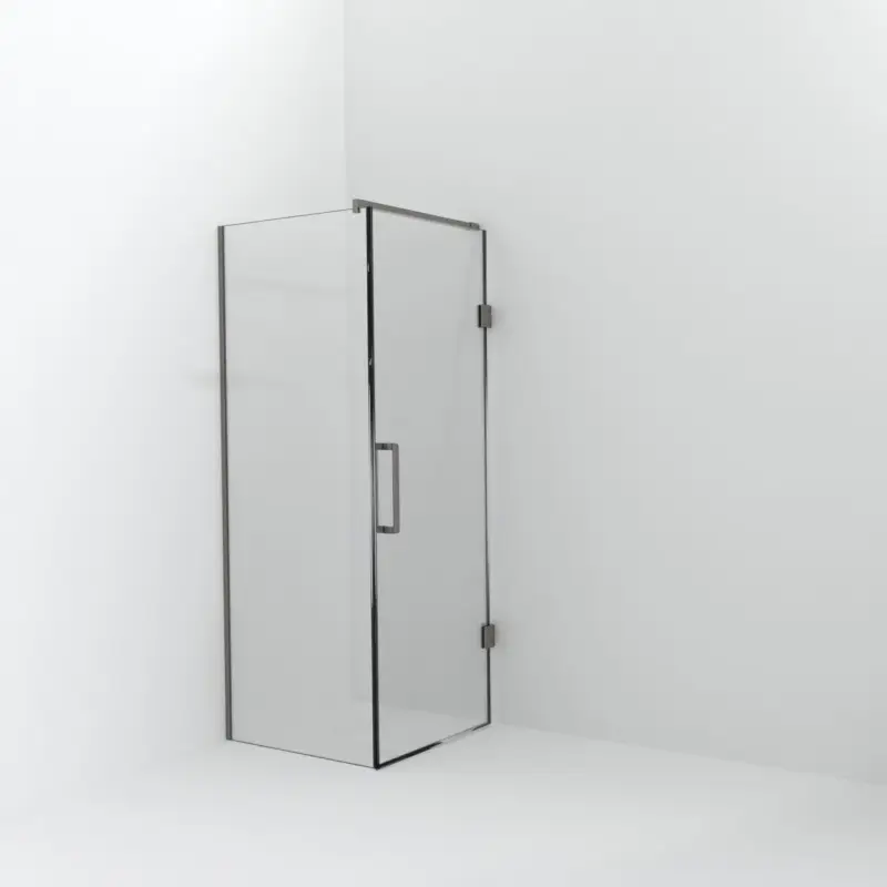 Balmani Modular Walk-In Dusche mit Tür: 80 x 200 cm mit Tür 80 cm, Klarglas inklusive Coating, Profil Brushed Inox Heißes Angebot