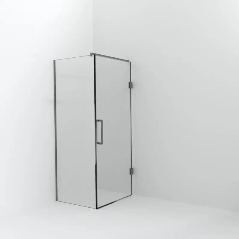 Balmani Modular Walk-In Dusche mit Tür: 80 x 200 cm mit Tür 90 cm, Klarglas inklusive Coating, Profil Brushed Inox Preiswert