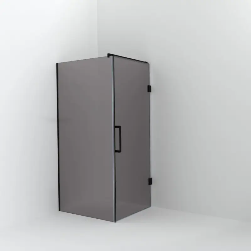 Angebot Balmani Modular Walk-In Dusche mit Tür: 100 x 200 cm mit Tür 90 cm, Rauchglas inklusive Coating, Profil Schwarz matt