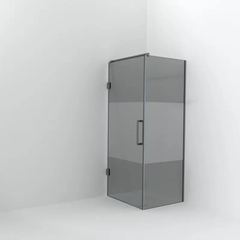 Balmani Modular Walk-In Dusche mit Tür: 80 x 200 cm mit Tür 90 cm, Rauchglas mit mattiertem Streifen inklusive Coating, Profil Brushed Inox Aktuell