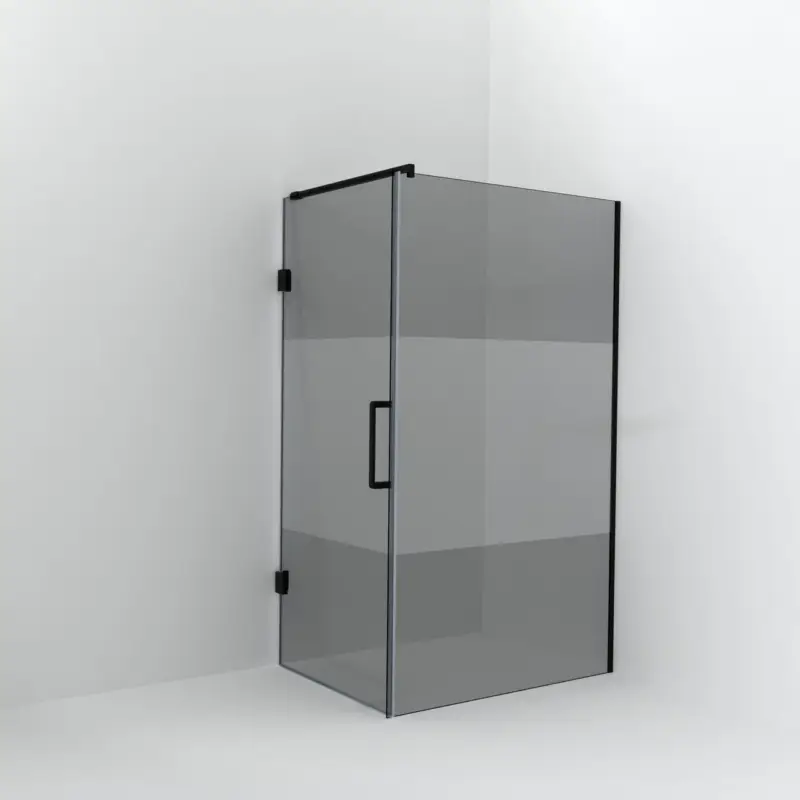 Angebot Balmani Modular Walk-In Dusche mit Tür: 120 x 200 cm mit Tür 90 cm, Rauchglas mit mattiertem Streifen inklusive Coating, Profil Schwarz matt