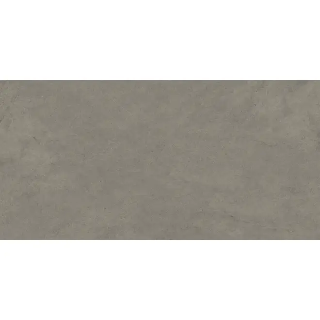 Echt Margres Concept Grey matt Boden- und Wandfliese 60x120 cm