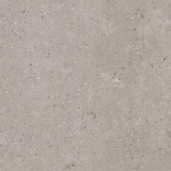 Preisreduziert Pastorelli Biophilic Wand- und Bodenfliese Grey 120x120 cm