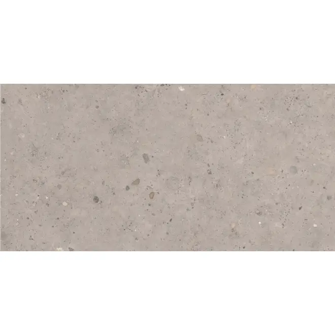 Meistverkauft Pastorelli Biophilic Wand- und Bodenfliese Grey 60x120 cm