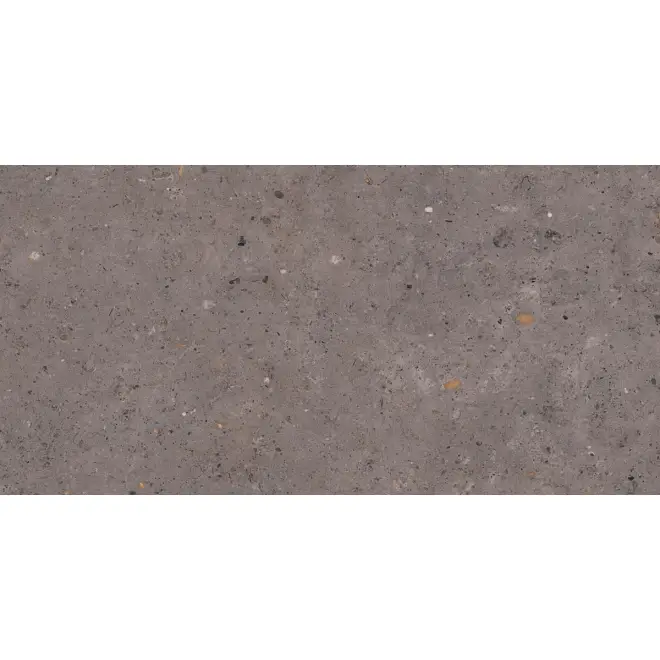 Sonderangebot Pastorelli Biophilic Wand- und Bodenfliese Dark Grey 60x120 cm