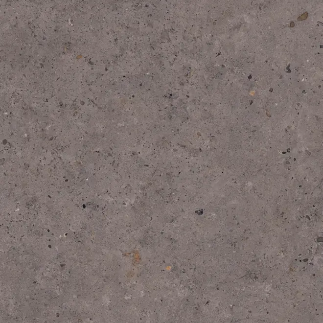 Pastorelli Biophilic Wand- und Bodenfliese Dark Grey 80x80 cm Must-Have
