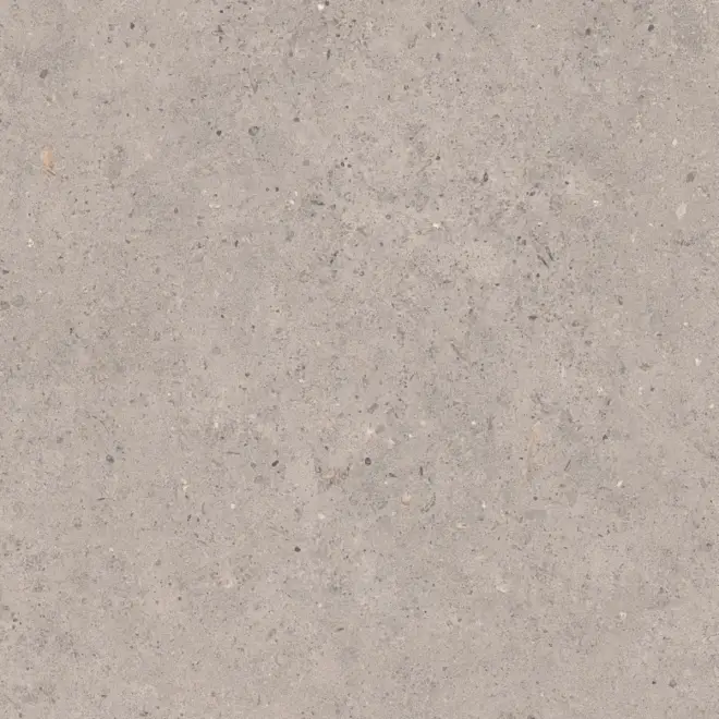 Highlight Pastorelli Biophilic Wand- und Bodenfliese Grey 60x60 cm
