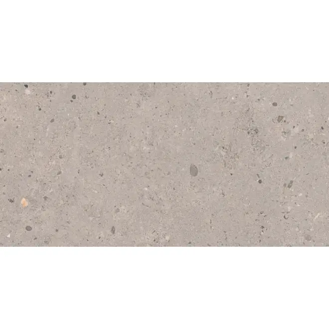 Preisknaller Pastorelli Biophilic Wand- und Bodenfliese Grey 30x60 cm