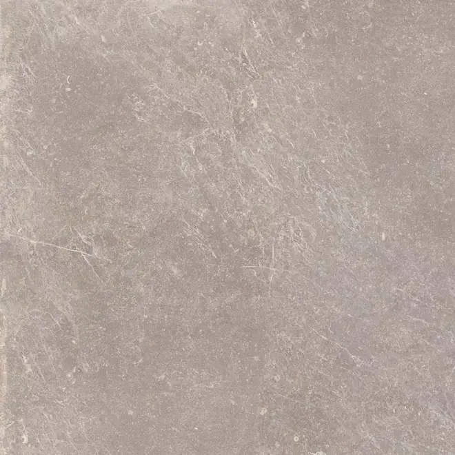 Keraben Bleuemix Boden- und Wandfliese Taupe Natural 60x60 cm Zertifiziert