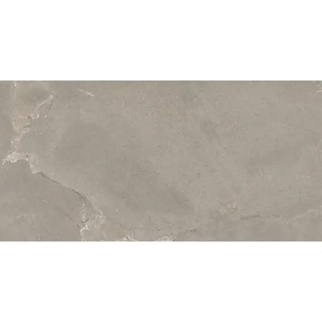 Rabatt Provenza Unique Intensity Purestone Grey Matt Terrassenplatte 60x120 cm