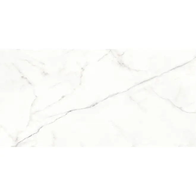 Versand Am Gleichen Tag Mirage Jewels 2.0 Washington Poliert Boden- und Wandfliese 60x120 cm
