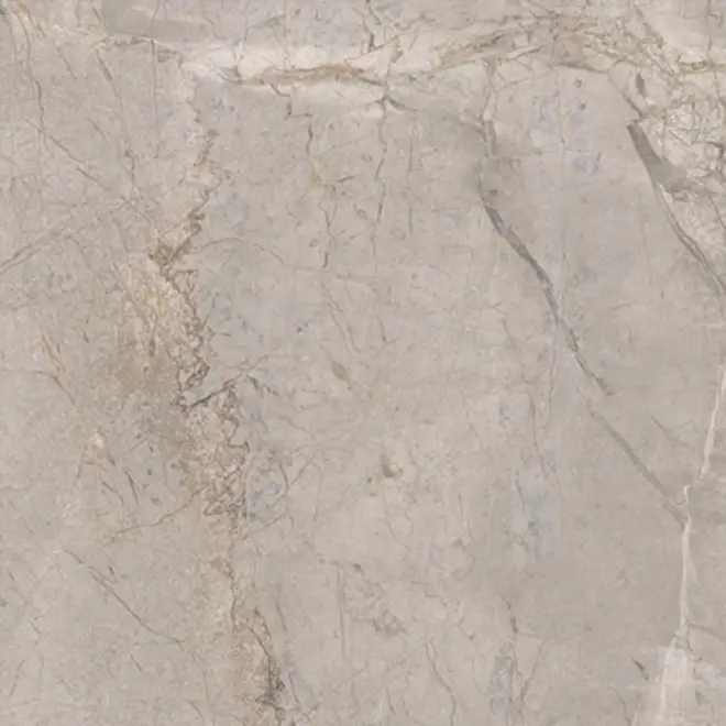 Keope Elements Lux Silver Grey Boden- und Wandfliese Natural (R9) 60x60 cm Geprüft