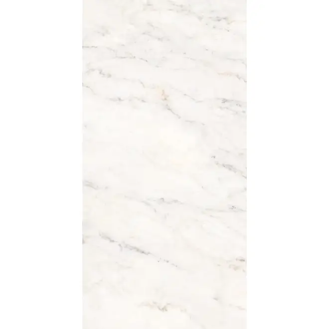 Wochenendangebot Keope Versilia Michelangelo White Boden- und Wandfliese 60x120 cm