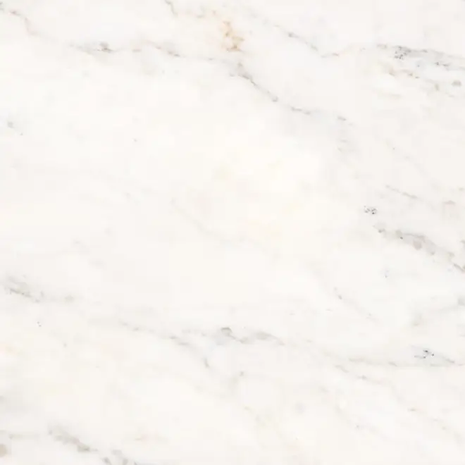 Schnäppchen Keope Versilia Michelangelo White Boden- und Wandfliese 120x120 (119,5x119,5) cm