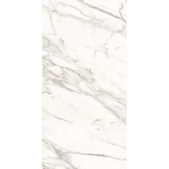 Begrenztes Angebot Keope Versilia Borghini White Boden- und Wandfliese 60x120 cm